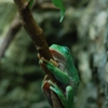 DSC_4087