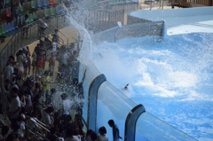 _DSC1637　水かけ祭り