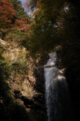 DSC_9790