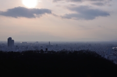 こんな高いとこまで登ってきたんだ
