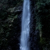 養老の滝