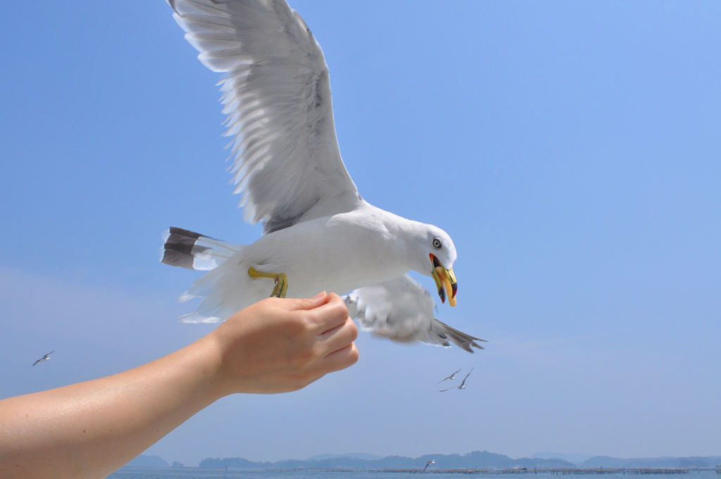 そのエサいただき！！