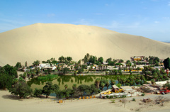 OASIS