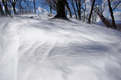 雪の風紋