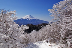 雪富士