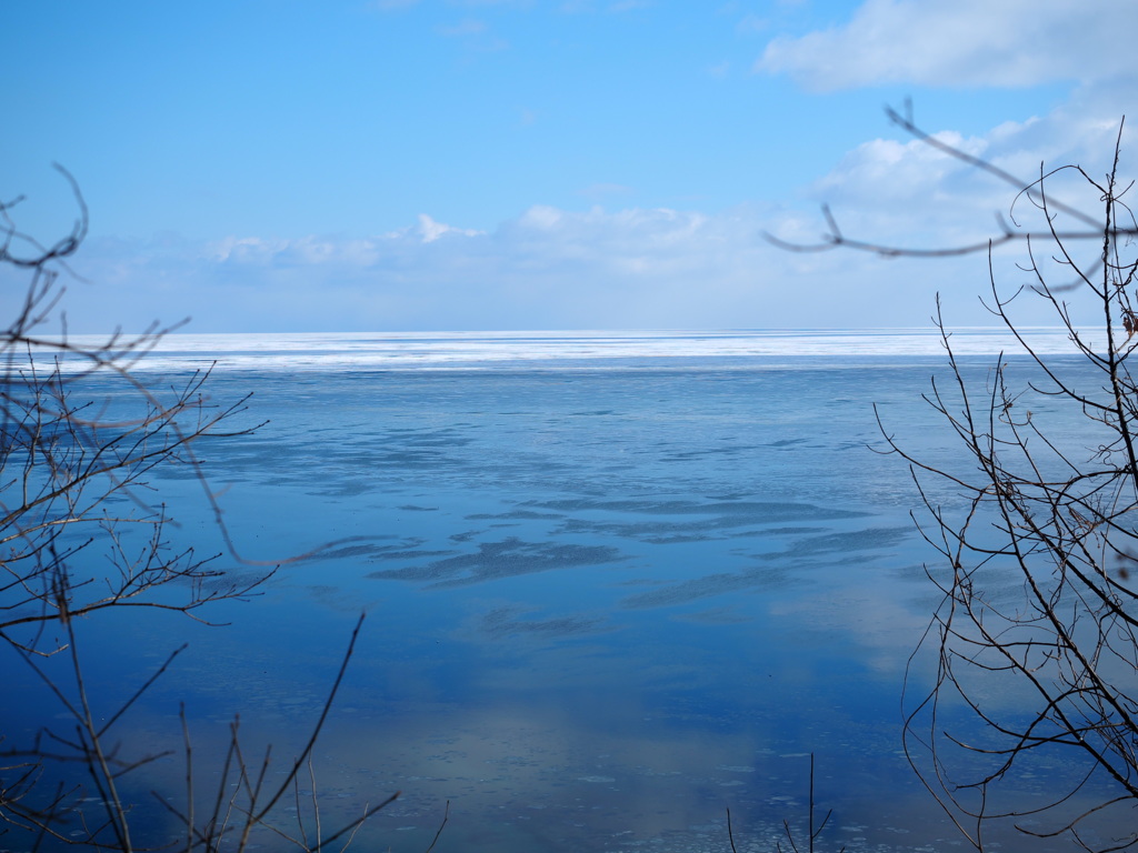 森の静かな海