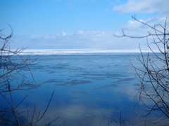 森の静かな海