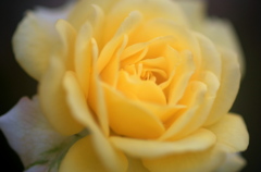 IMGP4472