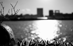 _DSC4687