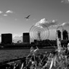 _DSC4690