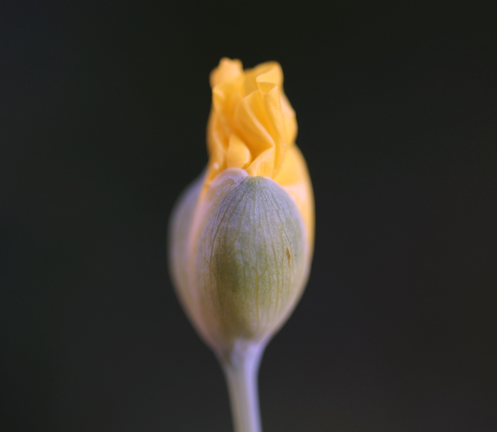 _DSC3591