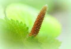 R0021624