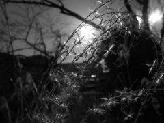 R0020385