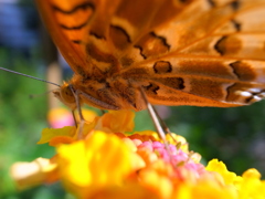 R0024514