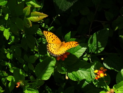 R0024484