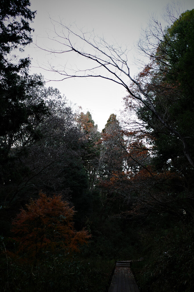 小山田緑地
