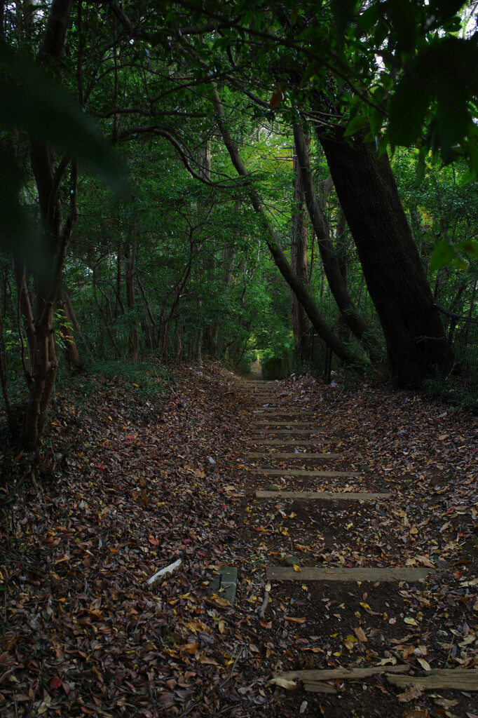 蓮正寺公園