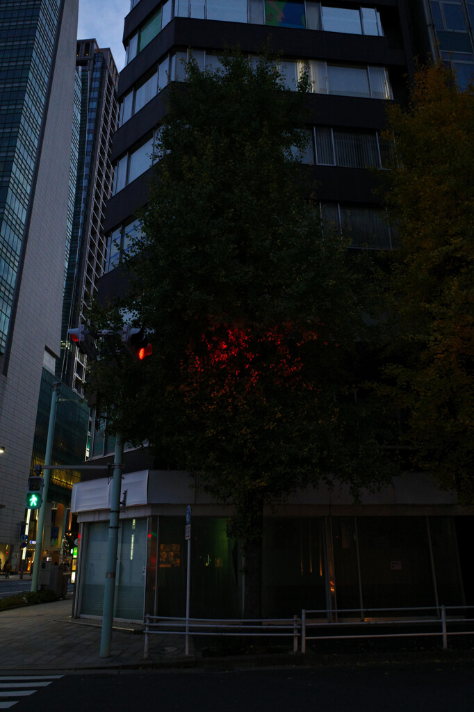 赤信号