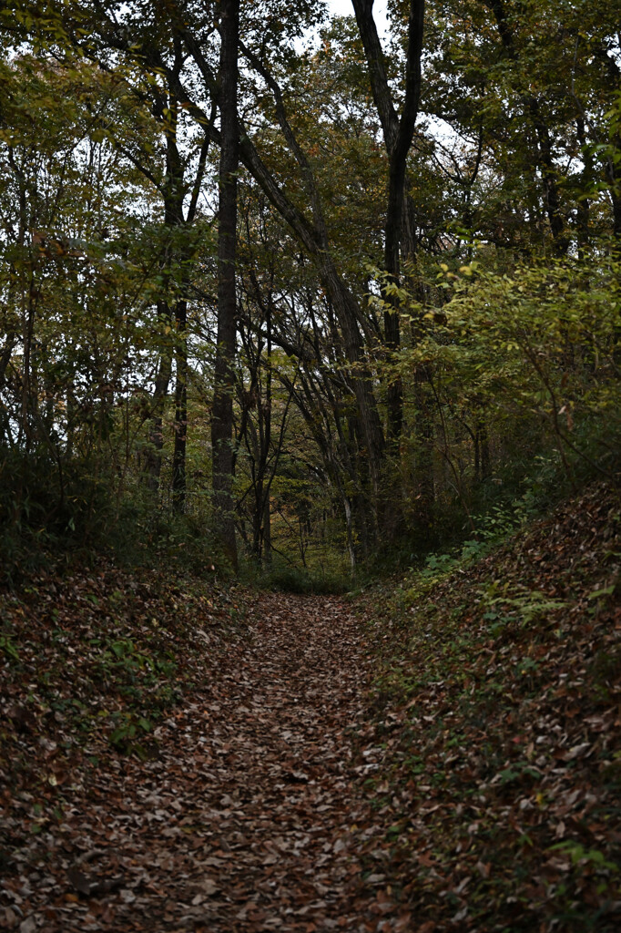 長池公園
