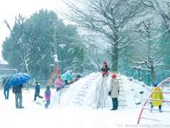 白い遊園地