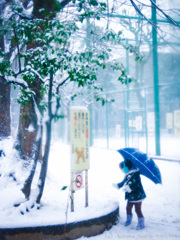 2月の好奇心