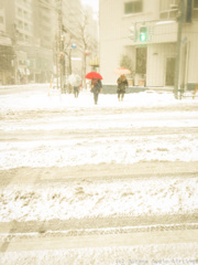雪の華