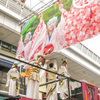 よさこい祭り　帯屋町の華