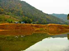 DSCN0817