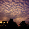 鶴ヶ城と夕日