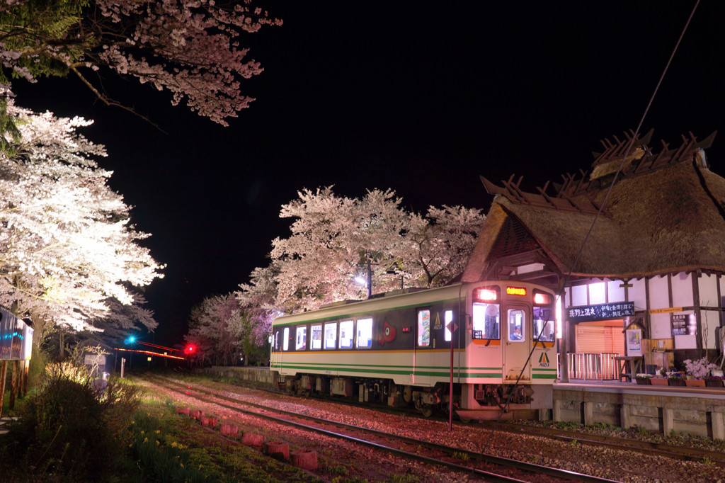 湯野上温泉駅の桜