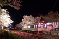 湯野上温泉駅の桜