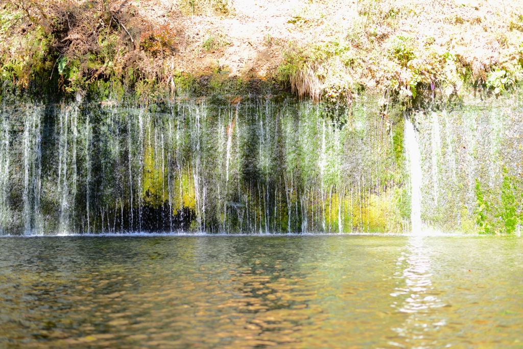 ヒカリの中へ　shiraito falls