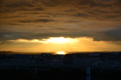 tokyo bay