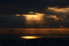 tokyo bay