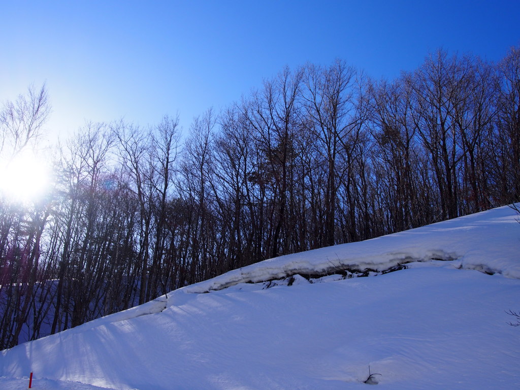 雪解け