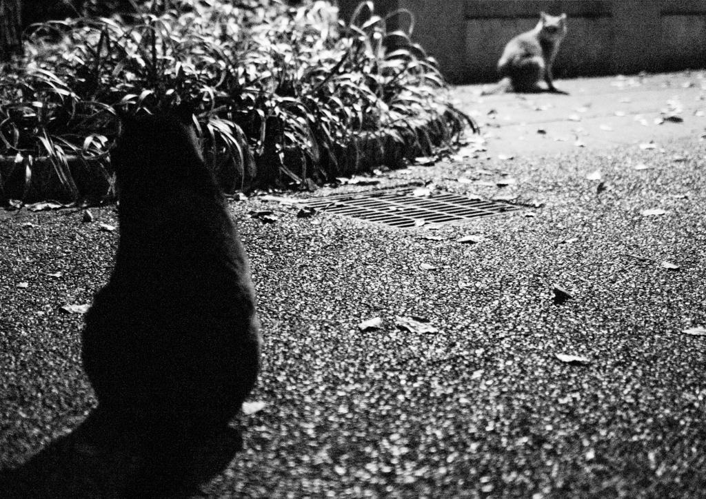 靭公園