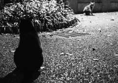 靭公園