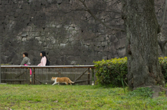 大阪城公園
