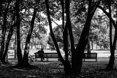 長居公園