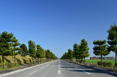 北海道っぽい佐賀県の道