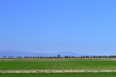 佐賀県の風景