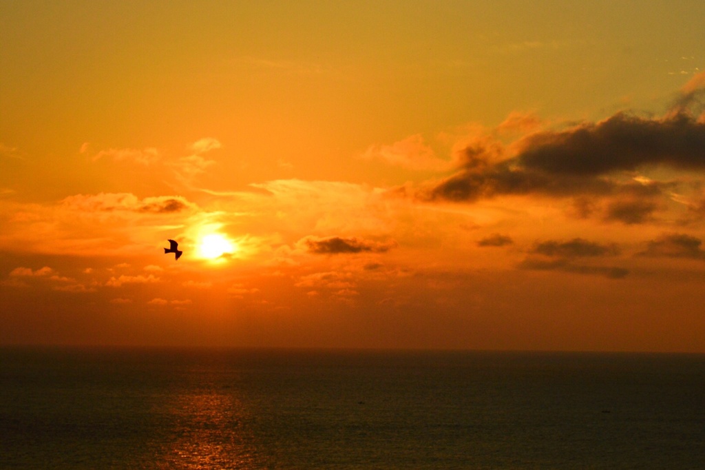 日本海の夕日