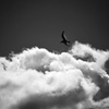 雲の近くへ