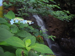 涼を求めて山中に