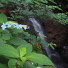 涼を求めて山中に