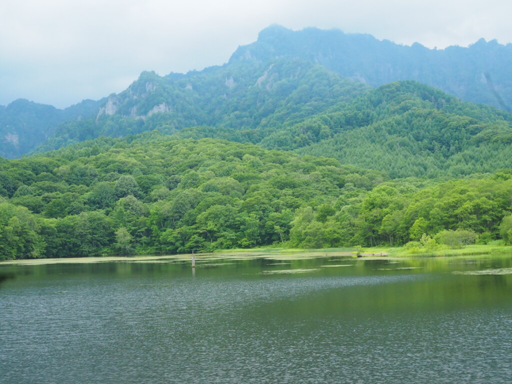 森林公園