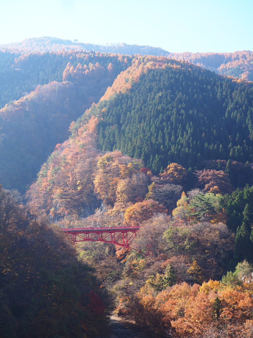 autumn scene