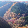 autumn scene
