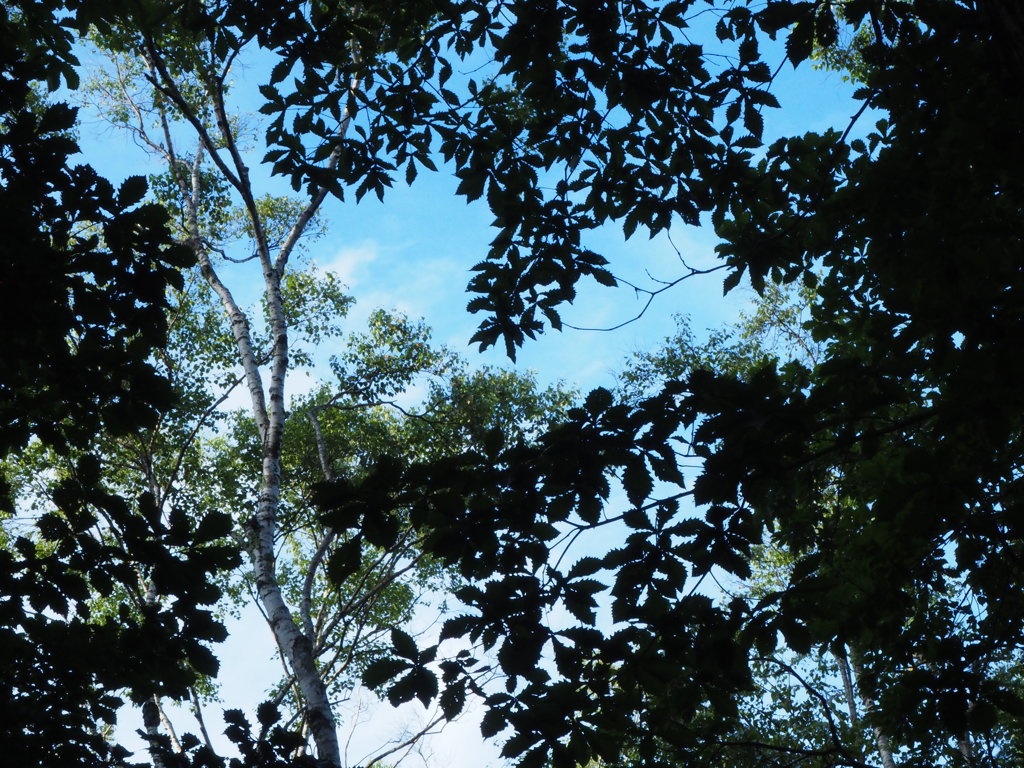 夏空