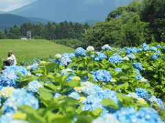 湖畔を散歩